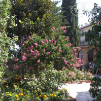 фото из отзыва ID 373461