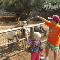 фото из отзыва ID 373461