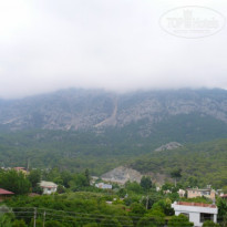 фото из отзыва ID 374046