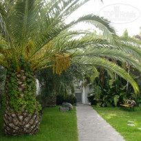 фото из отзыва ID 37515