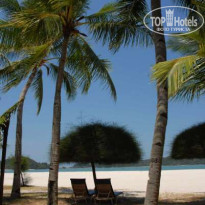 фото из отзыва ID 37538