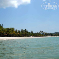 фото из отзыва ID 37538