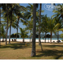 фото из отзыва ID 37538