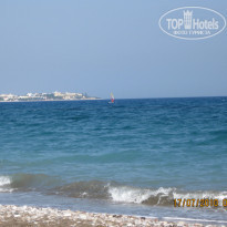 фото из отзыва ID 375133