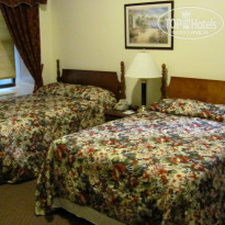 фото из отзыва ID 375565