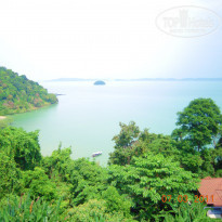 фото из отзыва ID 375612