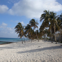 фото из отзыва ID 375644