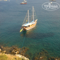 фото из отзыва ID 375242