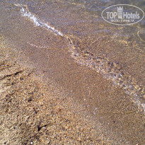 фото из отзыва ID 375242