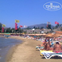 фото из отзыва ID 375242