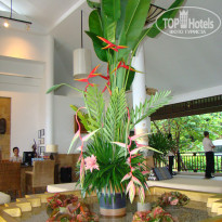 фото из отзыва ID 375612