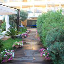 фото из отзыва ID 376041