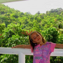 фото из отзыва ID 376261