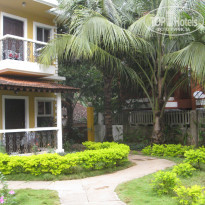 фото из отзыва ID 376406