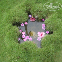 фото из отзыва ID 376406