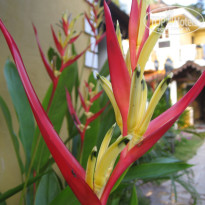 фото из отзыва ID 376406