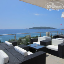 фото из отзыва ID 377007