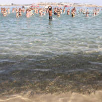 фото из отзыва ID 377481