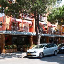 фото из отзыва ID 377535