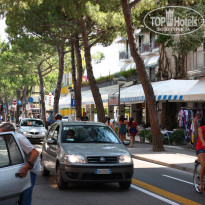 фото из отзыва ID 377535