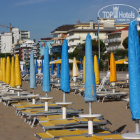 фото из отзыва ID 377535