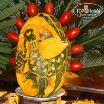 фото из отзыва ID 377558