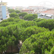 фото из отзыва ID 377583