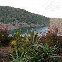 фото из отзыва ID 377686