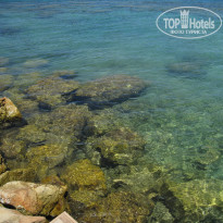 фото из отзыва ID 377708