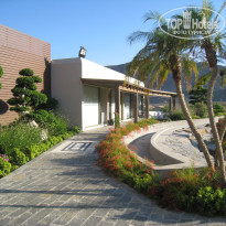 фото из отзыва ID 377708