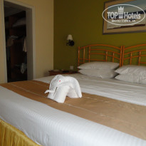 фото из отзыва ID 377865