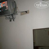 фото из отзыва ID 377925