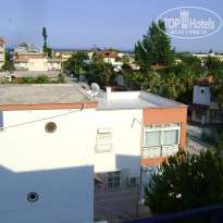 фото из отзыва ID 377714