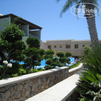 фото из отзыва ID 377708