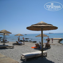 фото из отзыва ID 377708