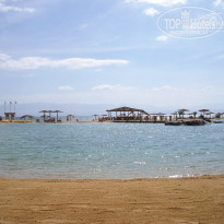 фото из отзыва ID 37887