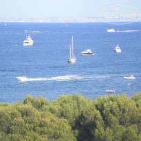 фото из отзыва ID 378056