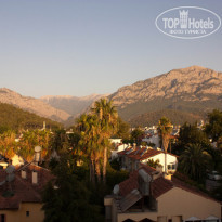 фото из отзыва ID 378151