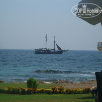 фото из отзыва ID 379249