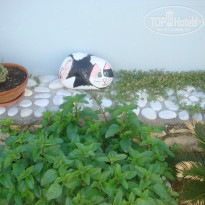 фото из отзыва ID 379264