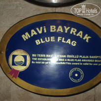 фото из отзыва ID 379562