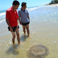 фото из отзыва ID 379608