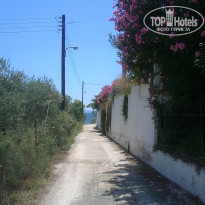 фото из отзыва ID 379685