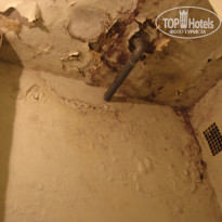 фото из отзыва ID 379759