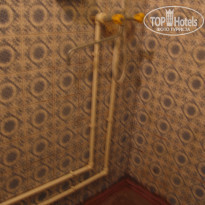 фото из отзыва ID 379759