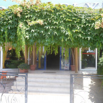 фото из отзыва ID 379761