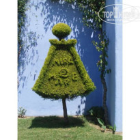 фото из отзыва ID 38009