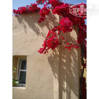 фото из отзыва ID 38009