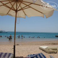 фото из отзыва ID 380047