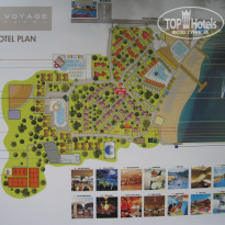 фото из отзыва ID 380248